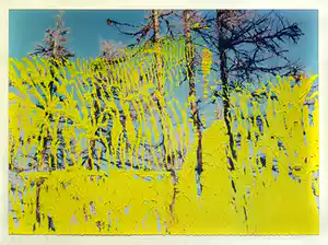 Gerhard Richter - '26. 5.92' - Farboffset, drucksigniert verkocht voor € 199!