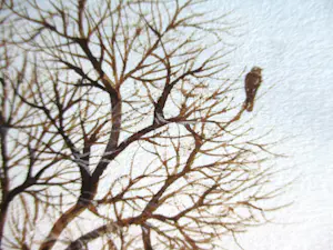 Ari Stolk - Patrijzen en eenden in winterlandschap kopen? Bied vanaf 159!