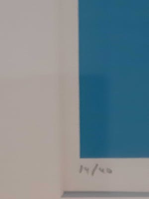 Rik Gorree - Shark - Grote ingelijste zeefdruk, kleine oplage kopen? Bied vanaf 50!