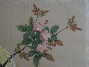 Niet of onleesbaar gesigneerd - Ingelijste aquarel op zijde, Japan? China? , Papagaai kopen? Bied vanaf 1!