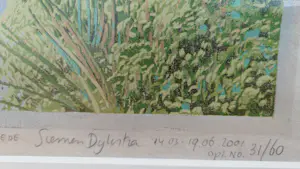 Siemen Dijkstra - Zomerbos kopen? Bied vanaf 1500!