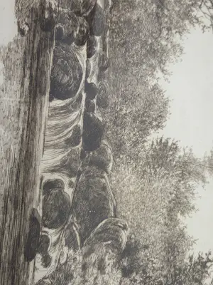 Ernest C. Rost - Waterval kopen? Bied vanaf 30!