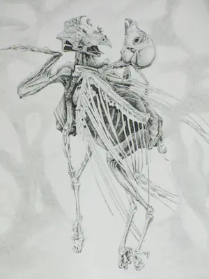 Gerard van Rooy - Danse Macabre II - Ets kopen? Bied vanaf 60!