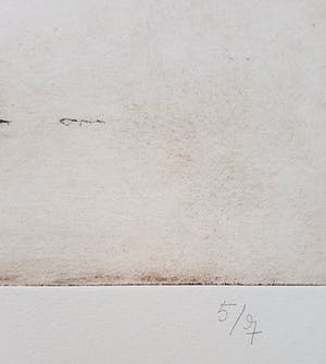 Ronald Tolman - Uit een jeugd, aquatint ets (groot, zeldzaam, volledig gedocumenteerd) kopen? Bied vanaf 1!