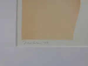 Max Selen - ONDERBROEKJE / KLEURLITHO / 70x53cm / KADER / SIG / 1976 kopen? Bied vanaf 30!