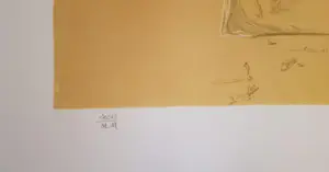 Salvador Dali - Woman with flower head kopen? Bied vanaf 195!