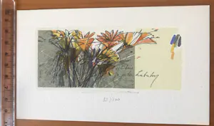 Martin R. Baeyens - Lot met 16 ex-libris en gravures van de Belgische kunstenaar Martin Baeyens kopen? Bied vanaf 49!