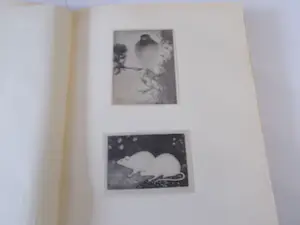 Jan Mankes - door A.Mankes-Zernike genummerde luxe uitgave kopen? Bied vanaf 375!