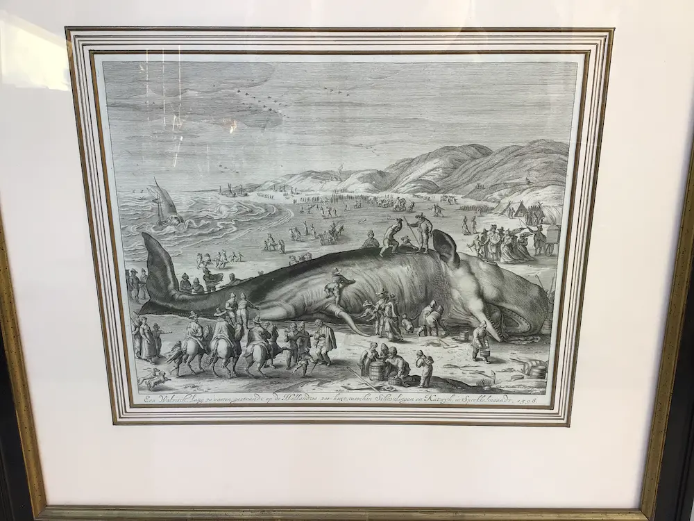 Gilliam van der Gouwen