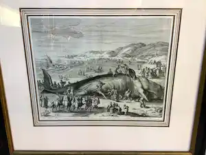 Gilliam van der Gouwen - Een walvisch gestrandt op de Hollandse kust tusschen Schevelingen en Katwijk in verkauft für € 180!