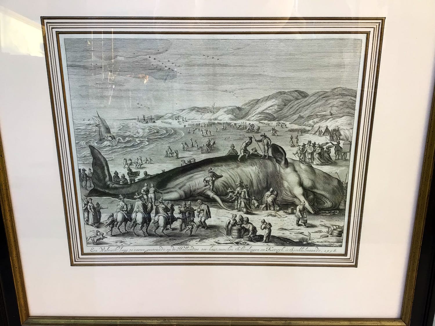 Gilliam van der Gouwen - Een walvisch gestrandt op de Hollandse kust tusschen Schevelingen en Katwijk in verkocht voor € 200!