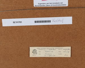 Gerard van Kerkhof - Ingekleurde ets. Titel, " Service ". kopen? Bied vanaf 20!