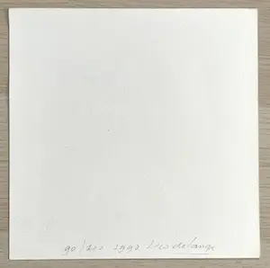 Lies de Lange - abstracte zeefdruk zonder titel kopen? Bied vanaf 20!