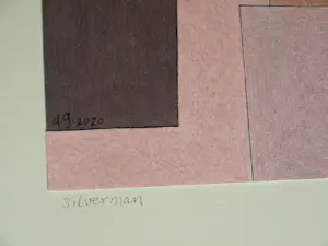 Doorlie Gerdes - Ingelijste potloodtekening , Silverman – 2020 - Lijst, 53 x 43 cm. kopen? Bied vanaf 100!