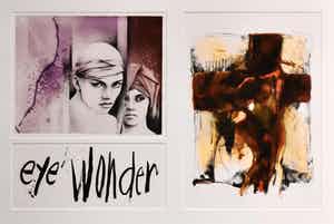 Hans Vanhorck - Walter Brems- Anouk, Rode kruis - Ingelijst - Groot verkocht voor € 50!