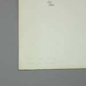 Han Jansen - Koeien (2x) kopen? Bied vanaf 70!