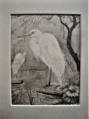 Gerard Christiaan J Gerrits - Fraaie omstreeks 1920 gemaakte potloodtekening "Ooievaars" gesigneerd kopen? Bied vanaf 28!