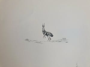 Melle Oldeboerrigter - lot van 2: litho en incomplete map (12 van de 14) reproducties kopen? Bied vanaf 65!