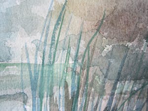 Andre Tigchelaar - Zomer (1) kopen? Bied vanaf 5!