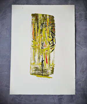 Wally Elenbaas - 1960 - kleuren lithografie "abstract" -zeer kleine oplage (12)- gesigneerd kopen? Bied vanaf 41!