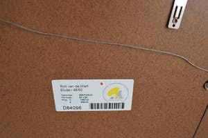 Ron van der Werf - Etude - Ingelijst - Zeedruk - Nr. 46 kopen? Bied vanaf 110!