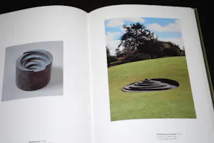 Sjoerd Buisman - 2 hardcover boeken kopen? Bied vanaf 50!