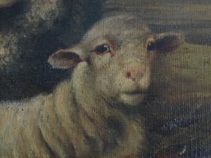 Béla Harmann - Olieverf op doek, “Schapen” – ingelijst – ca 1875-1899 - Groot kopen? Bied vanaf 1!