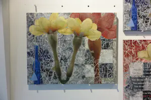 Mark Verdoes - DRIE keer giclée op doek kopen? Bied vanaf 30!