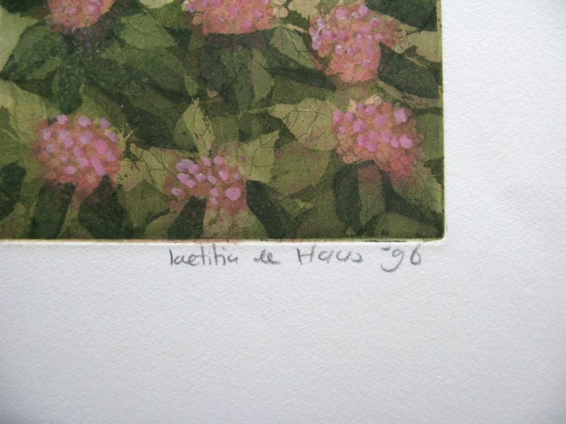 Laetitia de Haas - RUE DU THELON 1 EN 2 - Twee kleuretsen kopen? Bied vanaf 15!