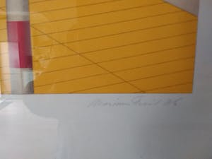 Marinus Fuit - blauw witte balonnen kopen? Bied vanaf 35!