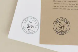 Dariusz Klimczak - 'Birdwalk' (2011) - GRATIS VERZENDING kopen? Bied vanaf 75!