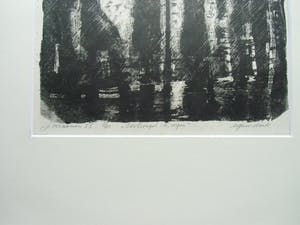 Jaap Kraanen - COOLSINGEL IN DE REGEN kopen? Bied vanaf 35!