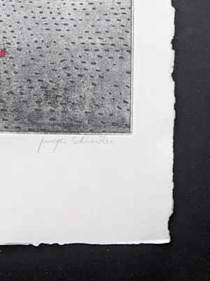 Jurgen Schneider - gisteren wordt het beter - complete set met drie handgekl. etsen, doos, tekst kopen? Bied vanaf 159!