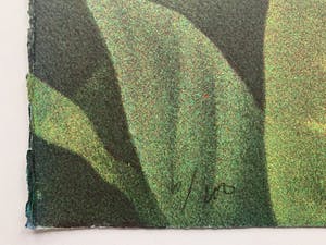 Jean Paul Vroom - kleurenlitho - 'Mei-vallei Praslin' - 1986 kopen? Bied vanaf 100!