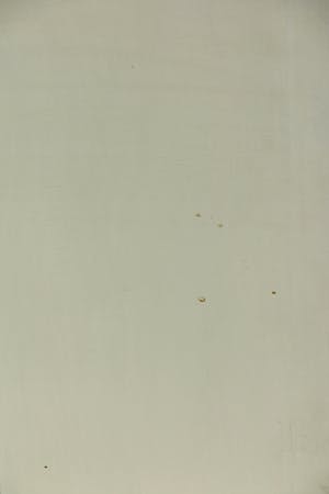 Piet de Schepper - Olieverf op doek, Zonder titel - Ingelijst kopen? Bied vanaf 70!