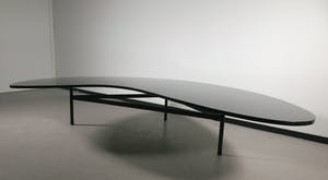 Eugene Brands - Bijzondere niervormige salontafel (Zeer groot) kopen? Bied vanaf 2000!
