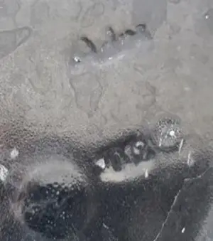 ADCO - XL zwarte ribbelvaas model 1012 kopen? Bied vanaf 1!