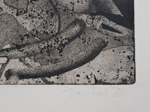 Jan Prins - Prachtige Ets - Gesigneerd in potlood kopen? Bied vanaf 1!