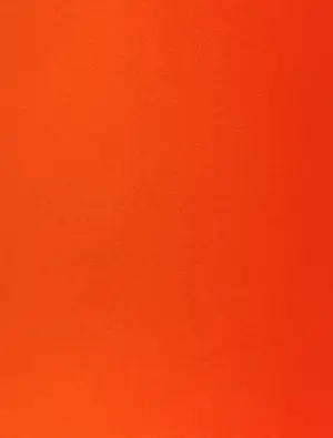 Rupprecht Geiger - Deutscher Künstlerbund 1981 - Große Original Farbserigraphie - Orange kopen? Bied vanaf 350!