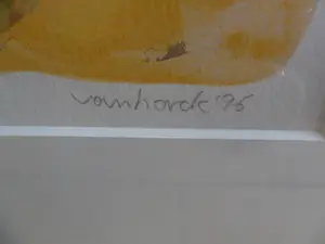 Hans Vanhorck - Litho, Titel, "Aerial Boundaries " uit 1995 kopen? Bied vanaf 35!