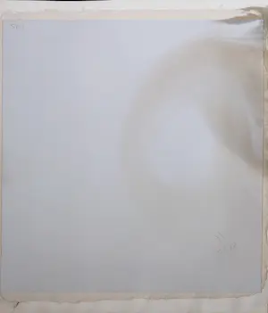 Miriam Slaats - Zeefdruk, Lente kopen? Bied vanaf 1!