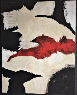 John Foppen - Birds Over Snowland.........# K 04. XL kopen? Bied vanaf 155!