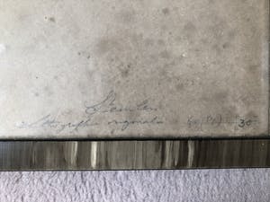 Theophile Alexandre Steinlen - Le Zeppelin kopen? Bied vanaf 85!