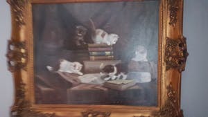 Jan Hovener - Poesjes kopen? Bied vanaf 500!