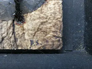 Yvonne Struys - Vleugel. Animalia. kopen? Bied vanaf 119!