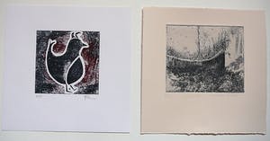 Niet of onleesbaar gesigneerd - Hot Bed Press 2012-Print exchange / portfolio grafiek kopen? Bied vanaf 1!