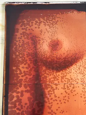 Anne Kreiter - Female Body kopen? Bied vanaf 120!