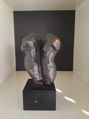 Susanne den Hoed - Torso man en vrouw kopen? Bied vanaf 120!