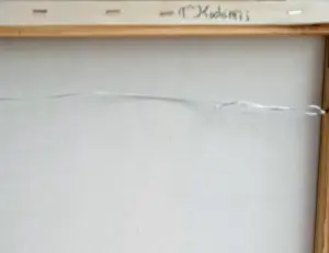 Tanja Koelemij - Planten stilleven kopen? Bied vanaf 65!