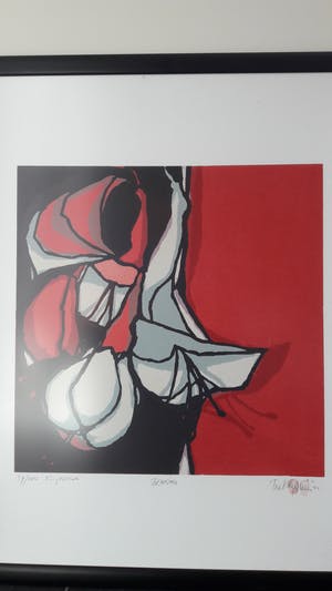 Fon Klement - Fuchsia kopen? Bied vanaf 95!